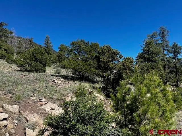 0 Ellingwood Drive, South Fork, CO 81154 - #3