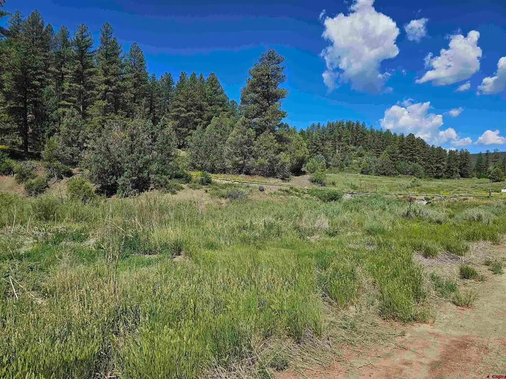 90 Badger Place, Pagosa Springs, CO 81147 - #1