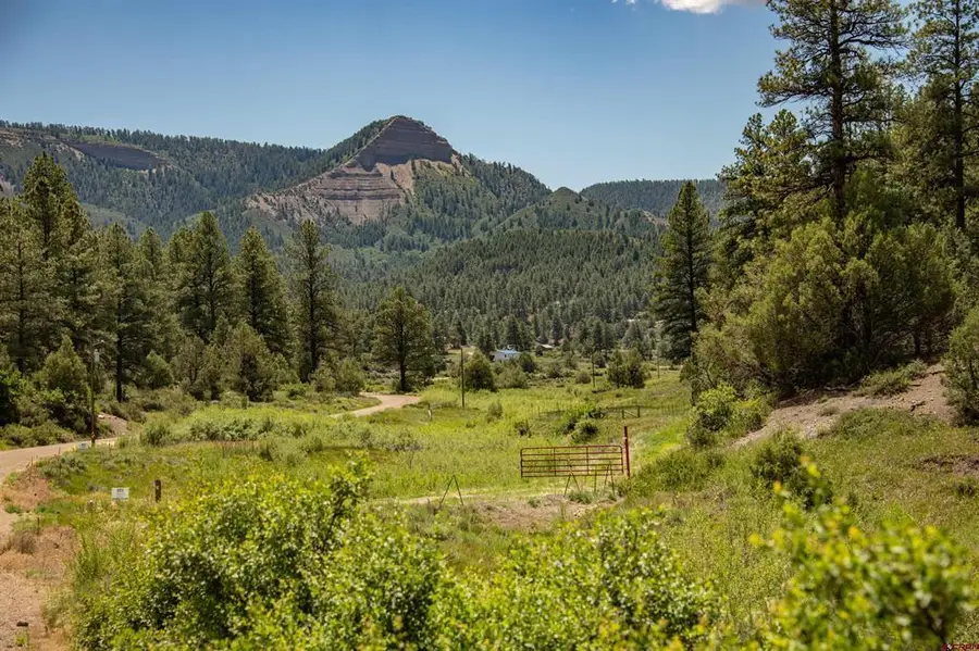 90 Badger Place, Pagosa Springs, CO 81147 - #2