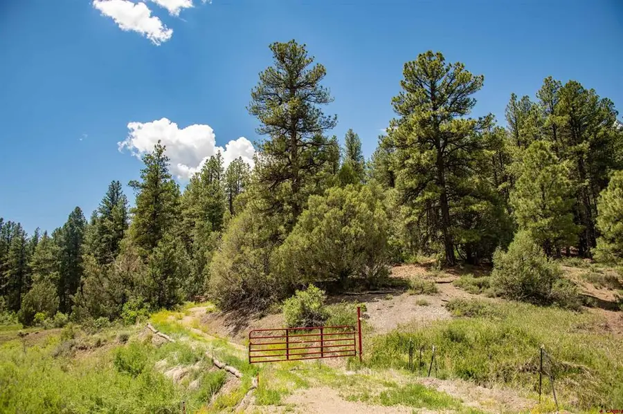 90 Badger Place, Pagosa Springs, CO 81147 - #3