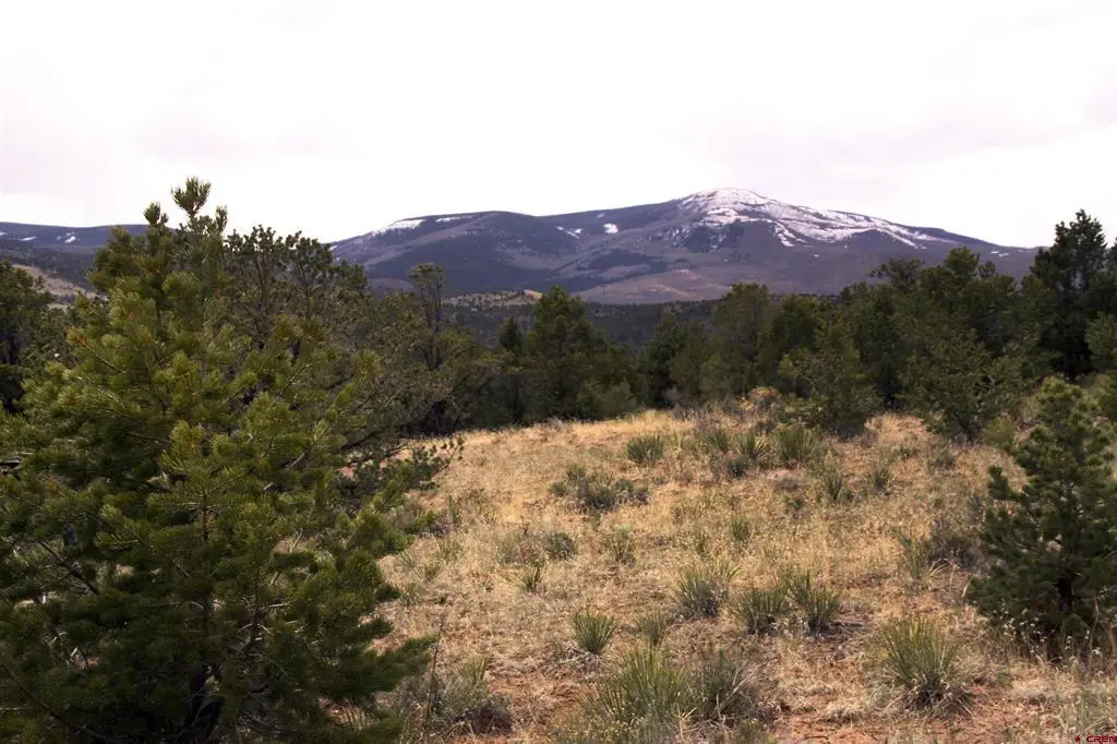 877 Vail Pass Road, South Fork, CO 81154 - #1