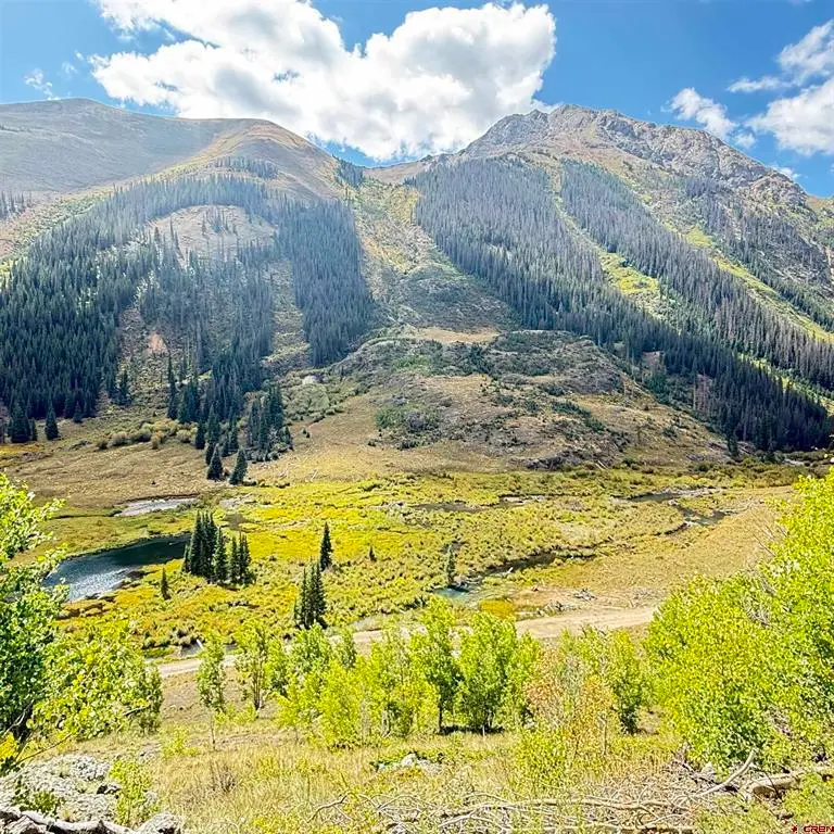 18001 Hinsdale County 30 Road, Lake City, CO 81235 - #3