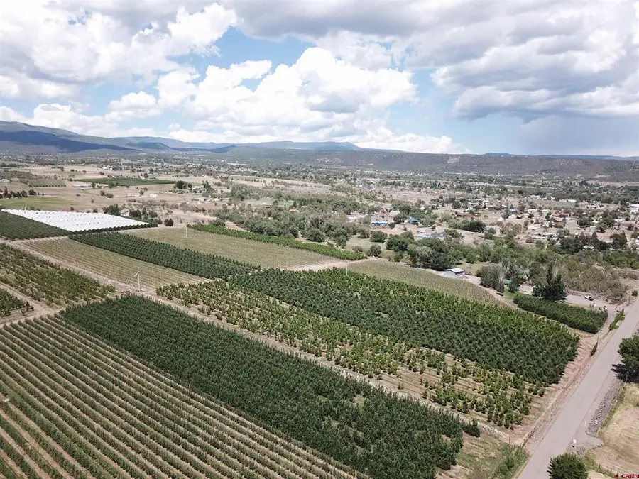 1168 NW Cedar Avenue, Cedaredge, CO 81413 - #2