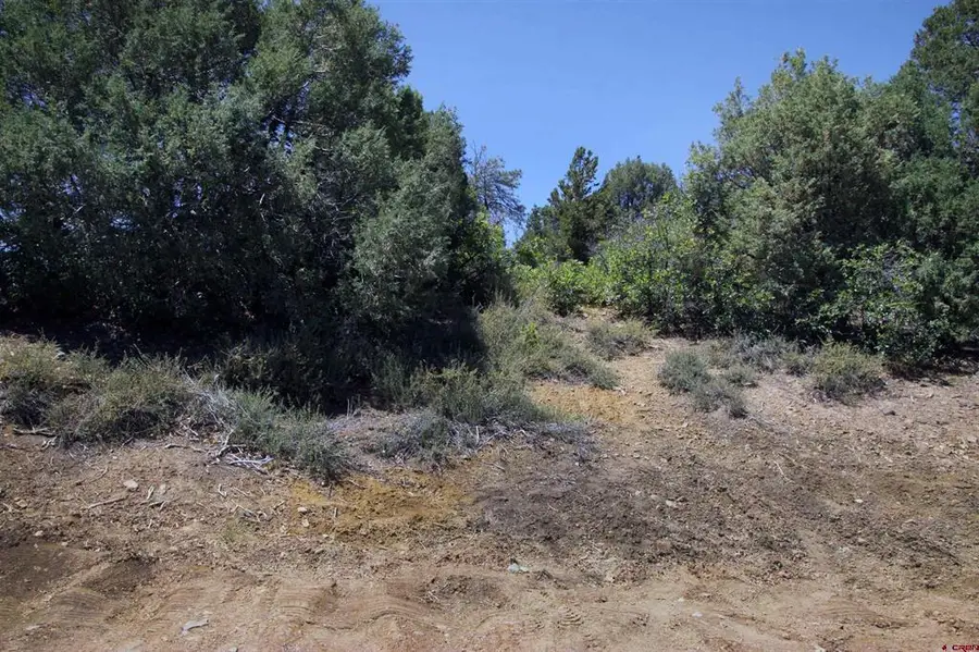 73 Wayne's Court, Pagosa Springs, CO 81147 - #2