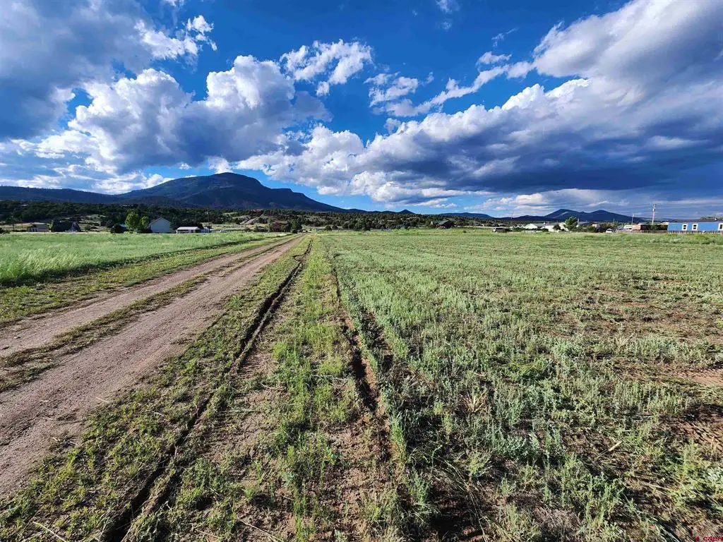 84 Orondoa Rd, South Fork, CO 81154 - #1