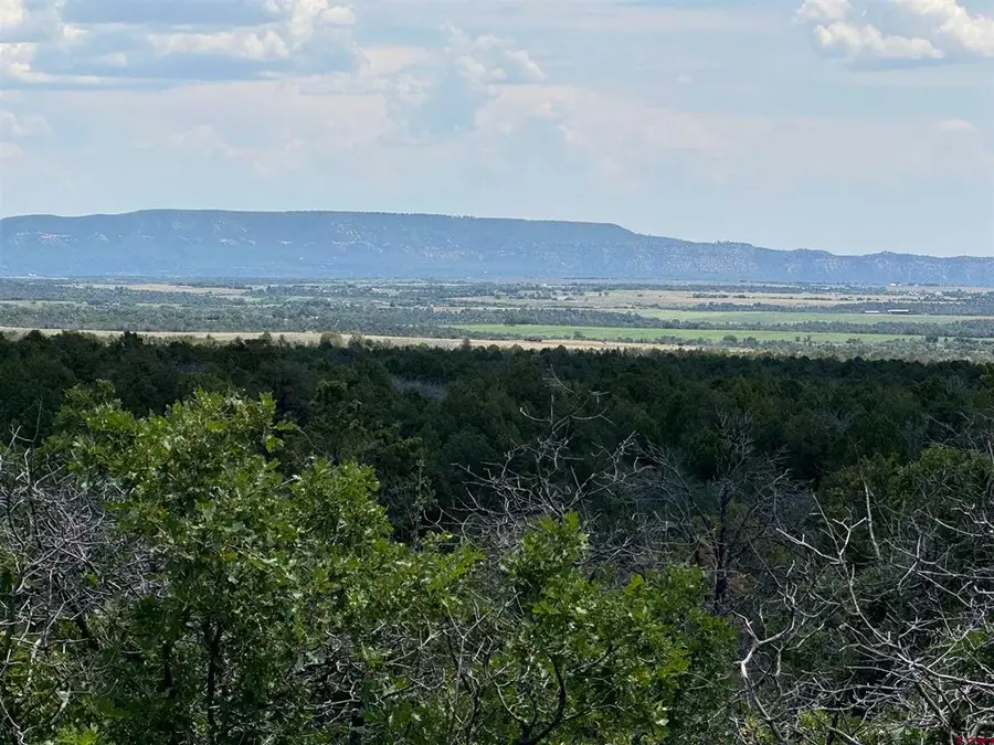 TBD De Oro Way Lot 29, Hesperus, CO 81326 - #2