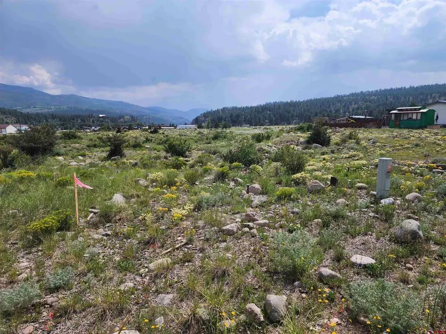 58 Cedar Dr, South Fork, CO 81154 - #2
