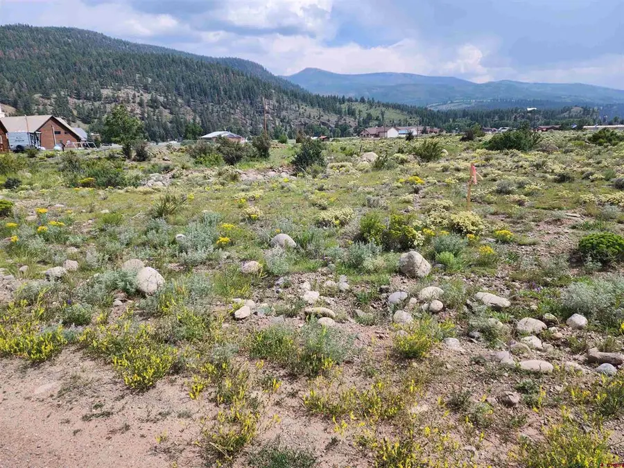 58 Cedar Dr, South Fork, CO 81154 - #3