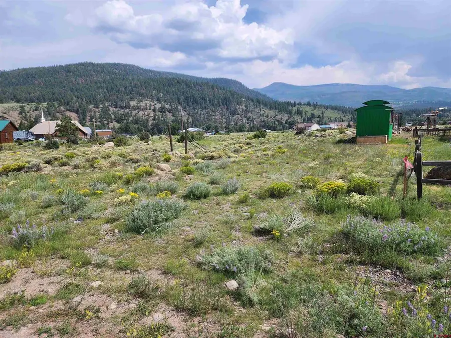 38 Cedar Dr, South Fork, CO 81154 - #3