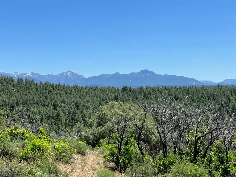 1001 County Rd 200, Pagosa Springs, CO 81147 - #3