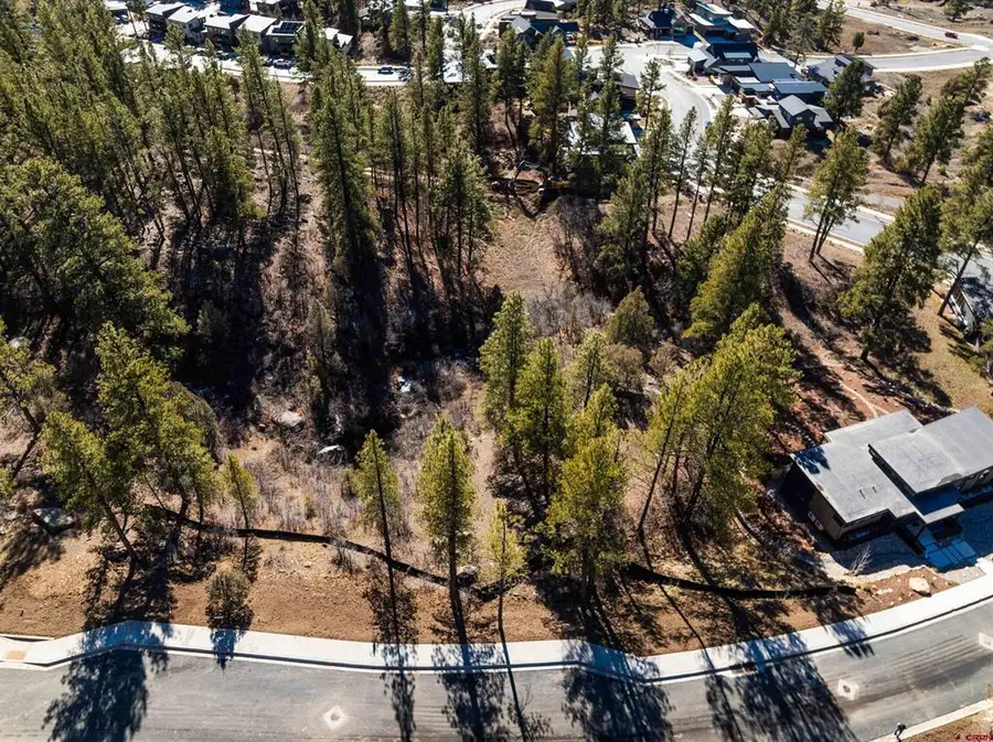 676 Tipple Ave. (lot 121), Durango, CO 81301 - #2