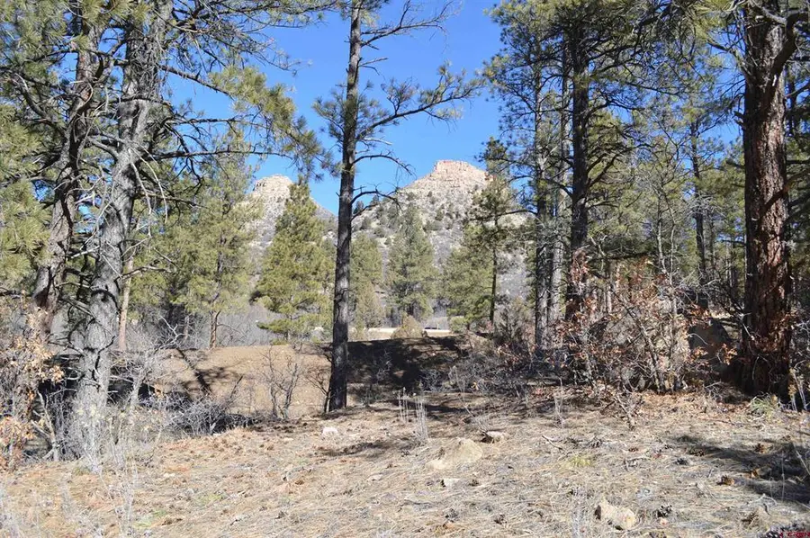 676 Tipple Ave. (lot 121), Durango, CO 81301 - #3