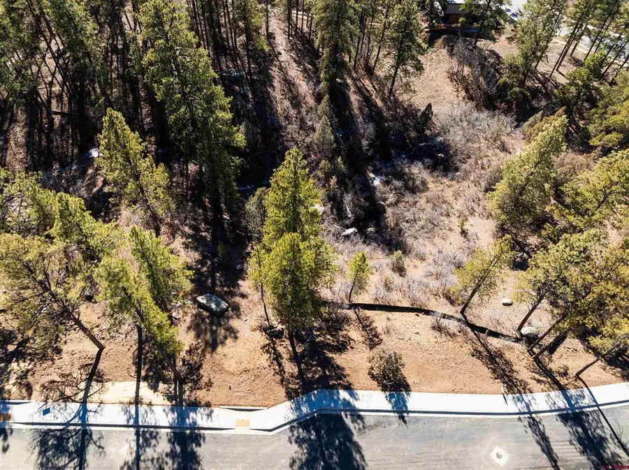 702 Tipple Ave. (lot 122), Durango, CO 81301 - #2