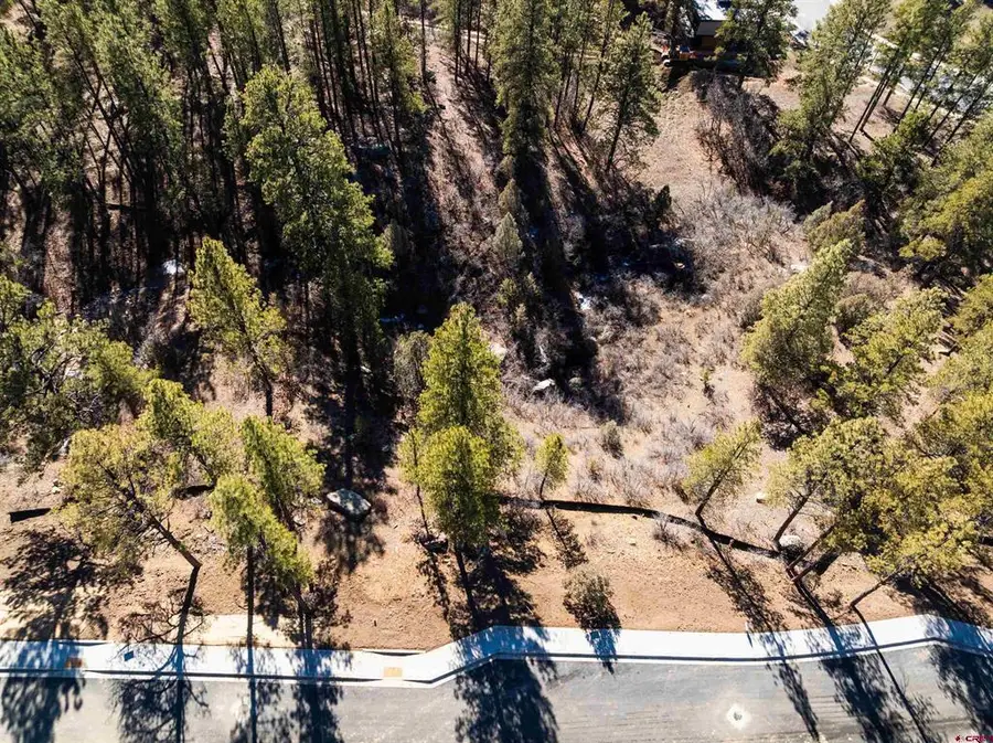 702 Tipple Ave. (lot 122), Durango, CO 81301 - #3