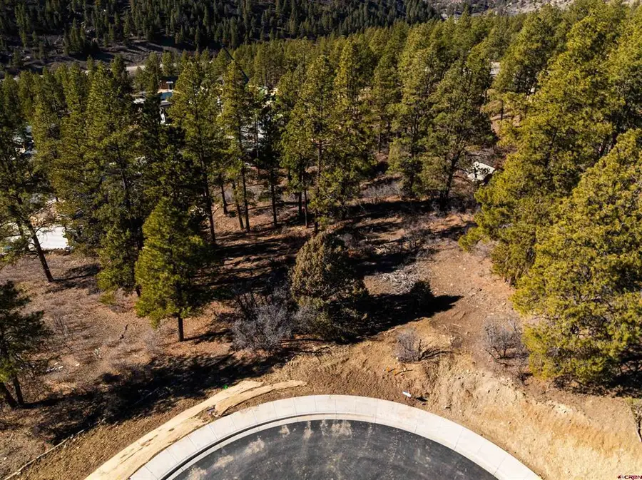 111 Winterberry Ct. (lot 126), Durango, CO 81301 - #2