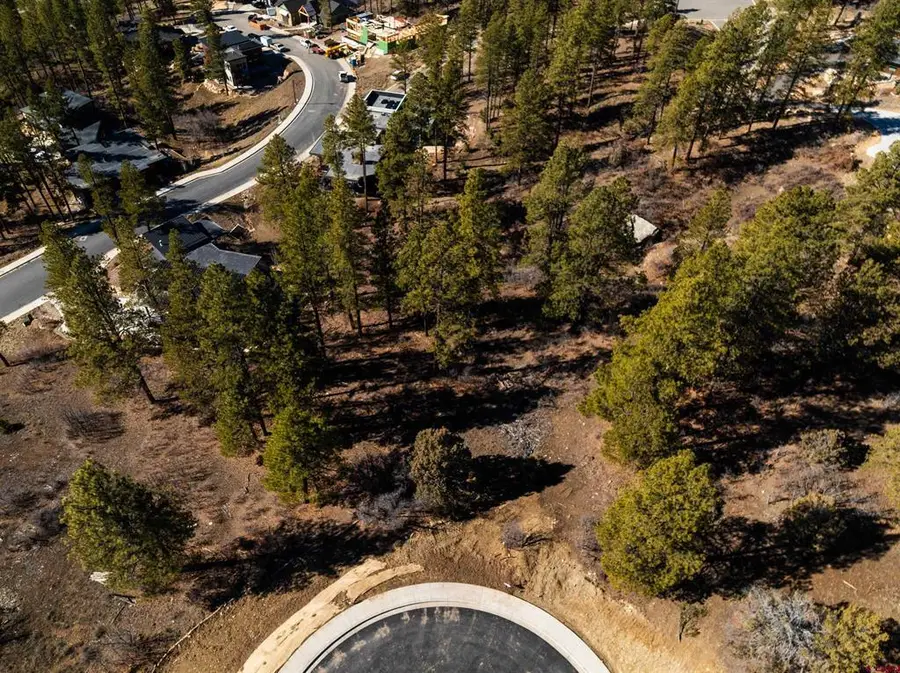 111 Winterberry Ct. (lot 126), Durango, CO 81301 - #3