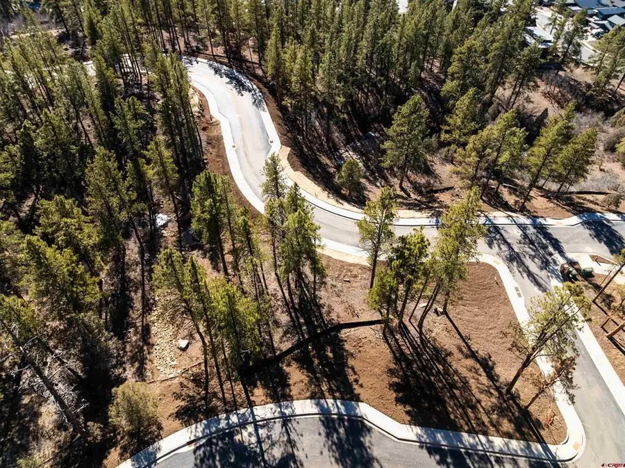 20 Avalanche Lily Dr. (lot 130), Durango, CO 81301 - #2