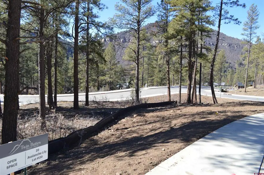 20 Avalanche Lily Dr. (lot 130), Durango, CO 81301 - #3