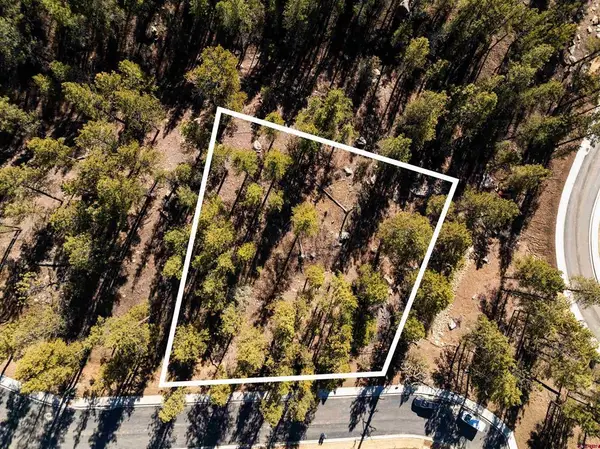 46 Avalanche Lily Dr. (lot 131), Durango, CO 81301