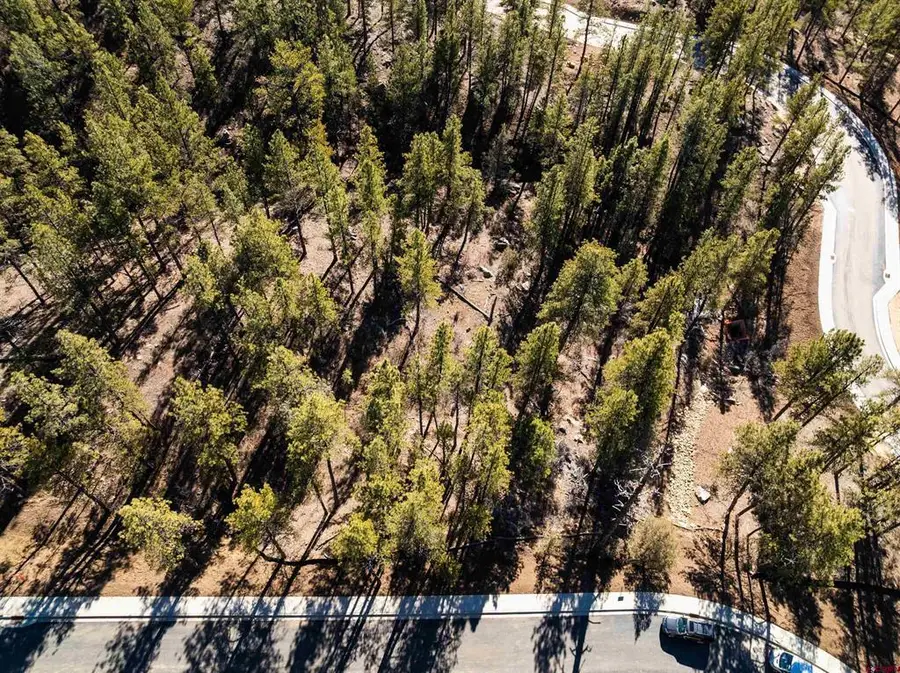 46 Avalanche Lily Dr. (lot 131), Durango, CO 81301 - #2