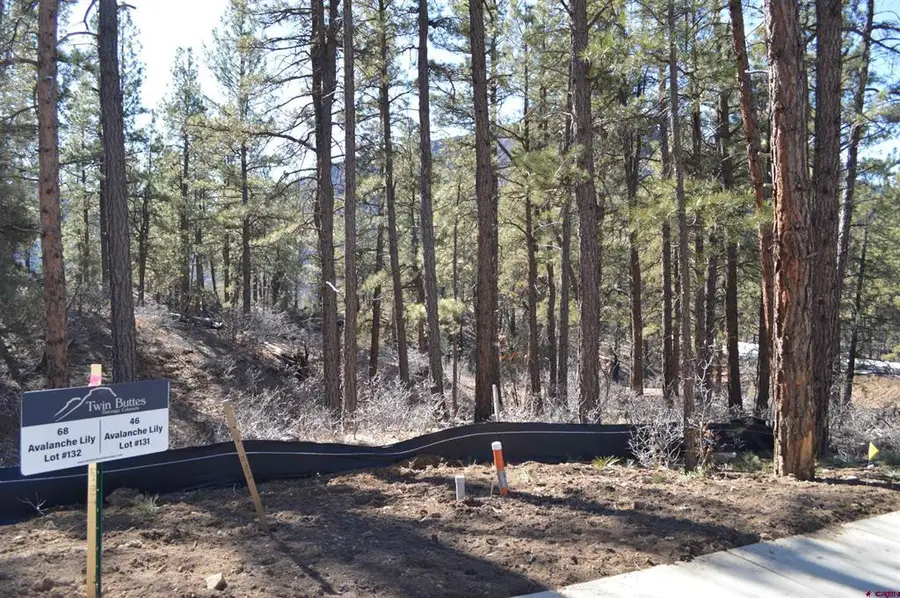 46 Avalanche Lily Dr. (lot 131), Durango, CO 81301 - #3