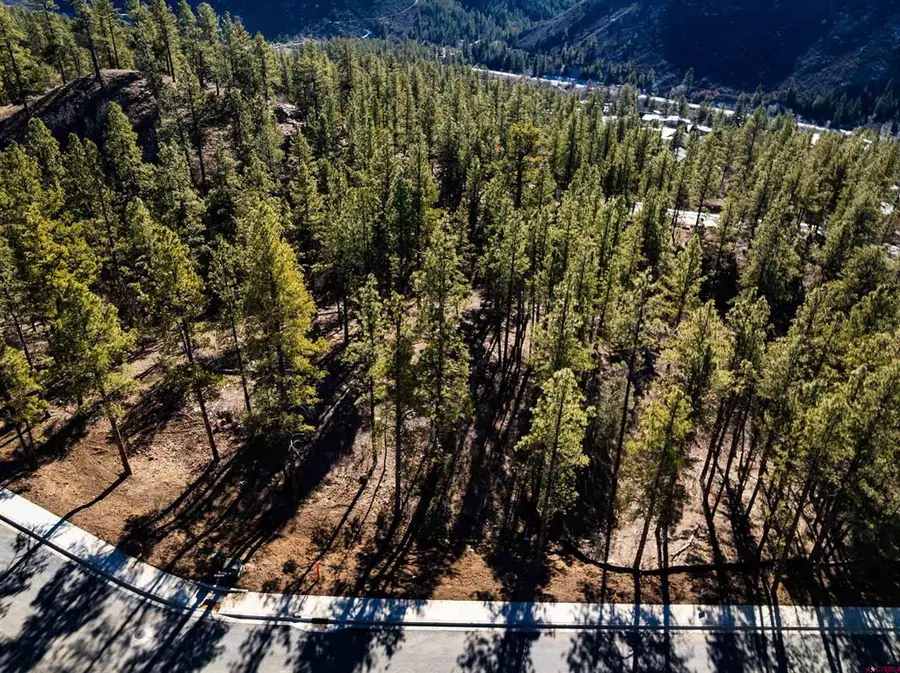 68 Avalanche Lily Dr. (lot 132), Durango, CO 81301 - #2