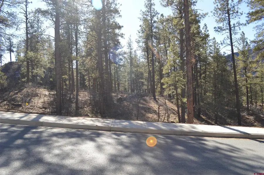 68 Avalanche Lily Dr. (lot 132), Durango, CO 81301 - #3