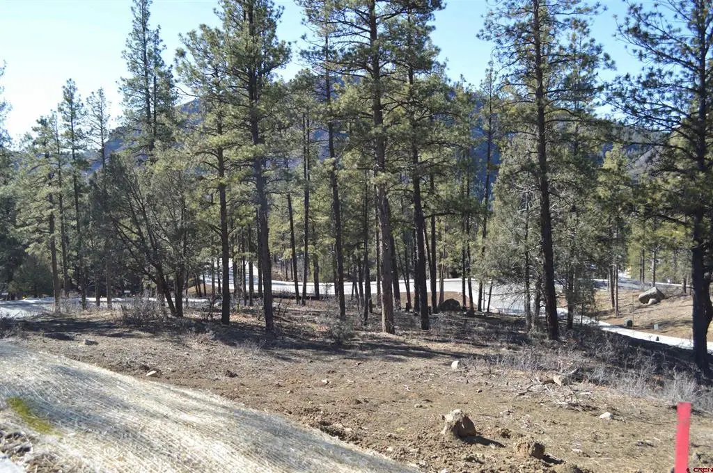 53 Snowdrop Ct. (lot 140), Durango, CO 81301 - #1