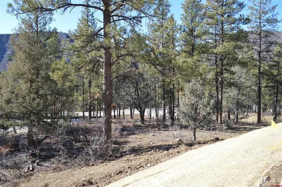 53 Snowdrop Ct. (lot 140), Durango, CO 81301 - #2