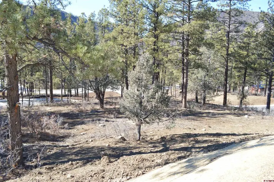 53 Snowdrop Ct. (lot 140), Durango, CO 81301 - #3