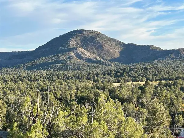 2519 Green Shadows Road, Durango, CO 81303