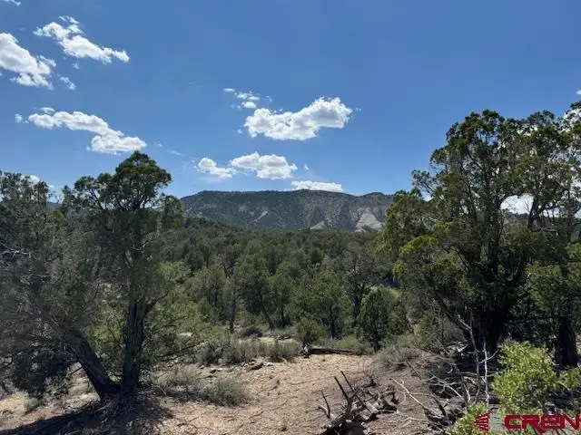 2519 Green Shadows Road, Durango, CO 81303 - #2