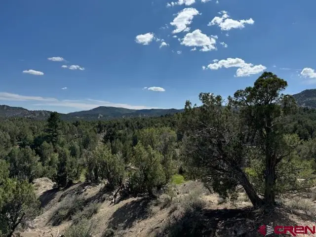 2519 Green Shadows Road, Durango, CO 81303 - #3