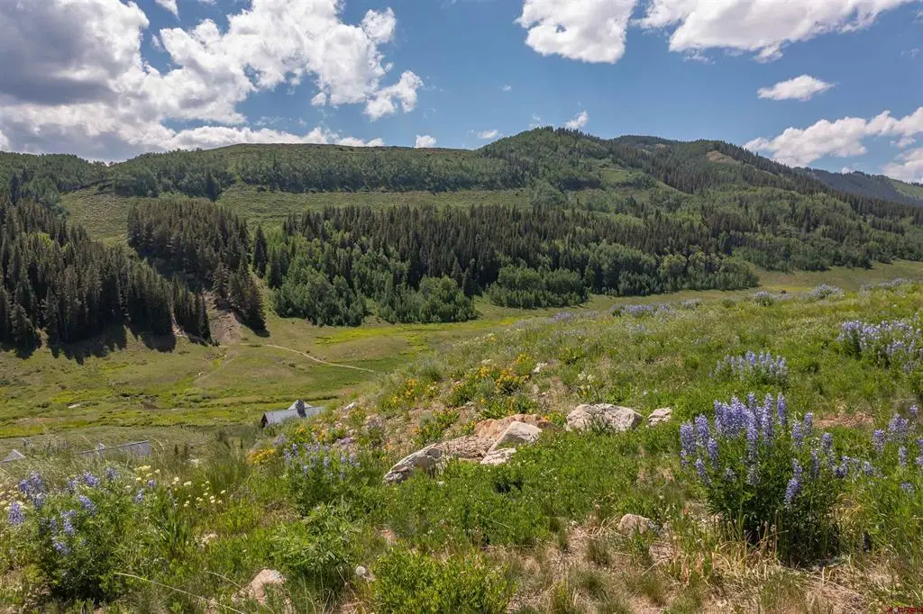 351 Meadow Drive, Crested Butte, CO 81224 - #1