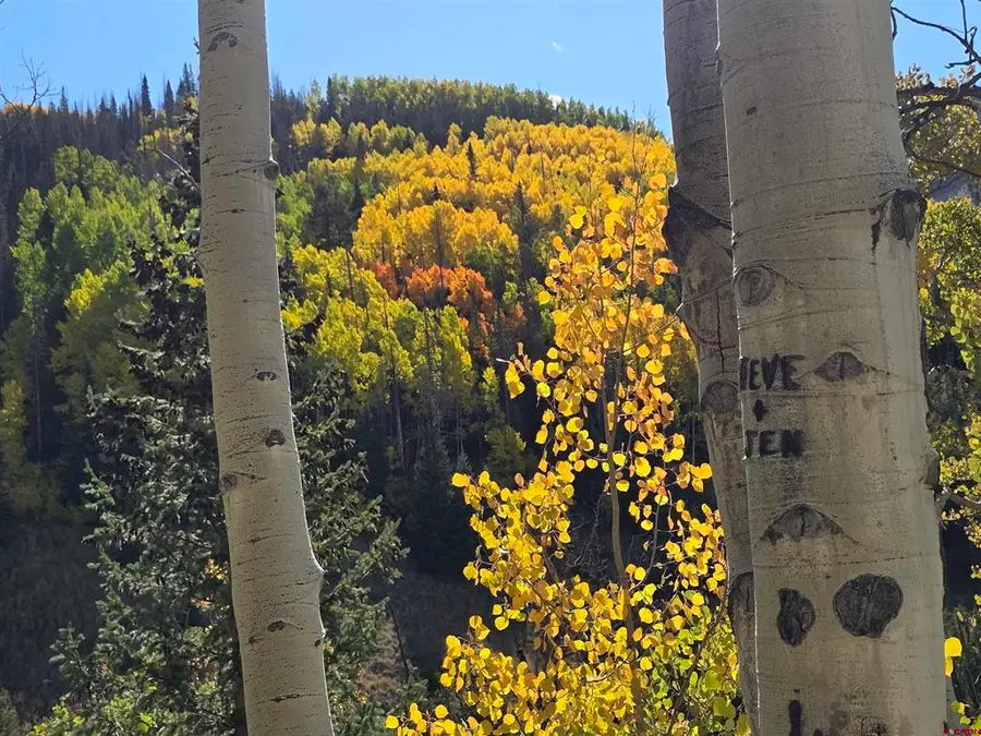 0 Forest Road, Del Norte, CO 81132 - #3