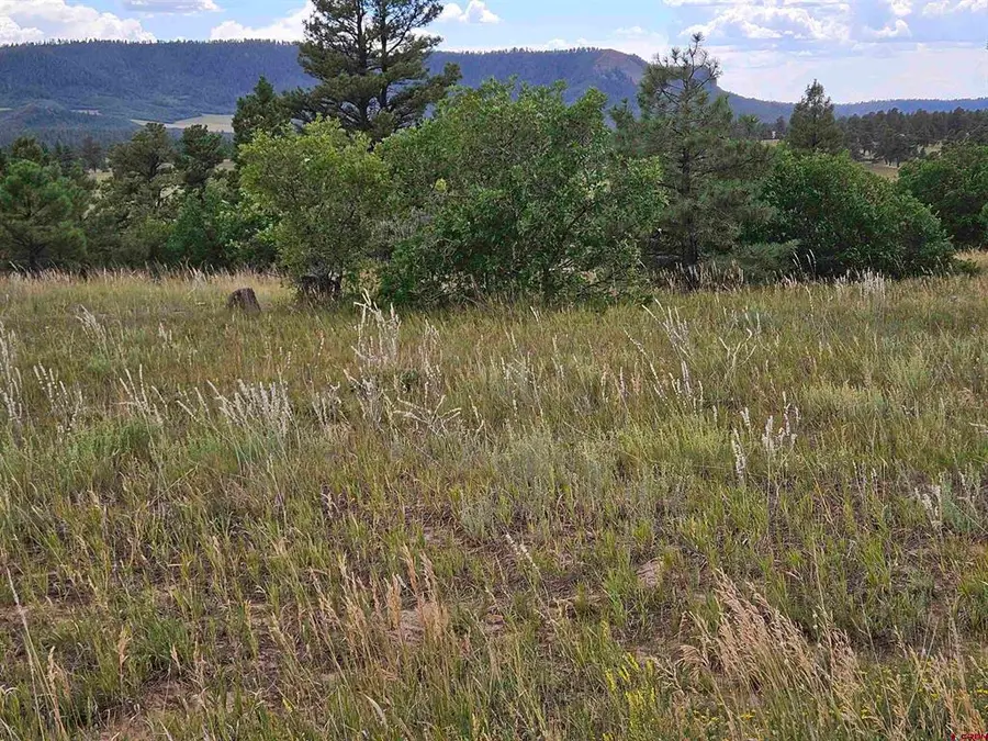 250 Prospect Boulevard, Pagosa Springs, CO 81147 - #2
