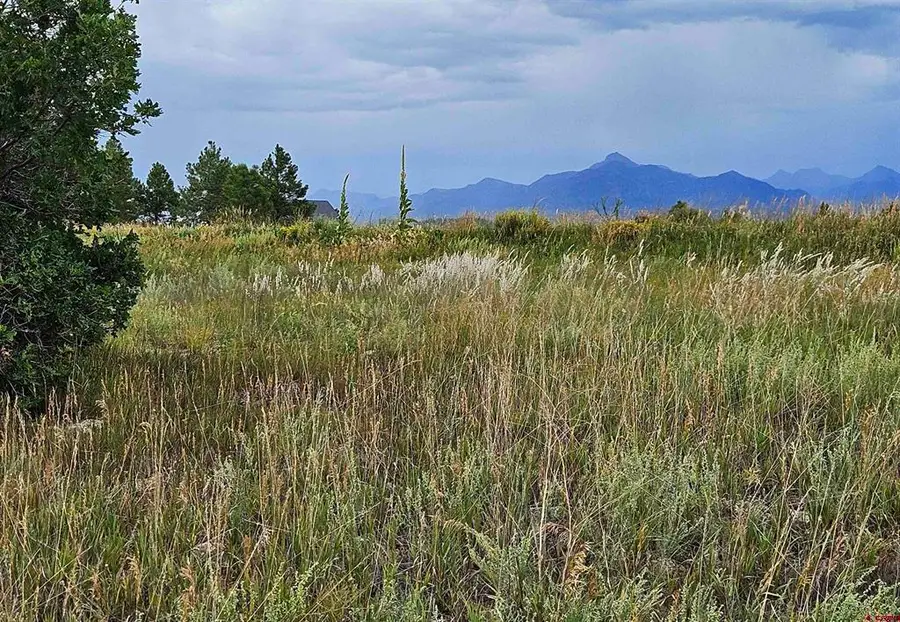 266 Prospect Boulevard, Pagosa Springs, CO 81147 - #2