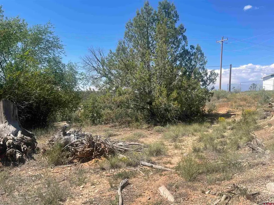 818 Stratton Drive, Cortez, CO 81321 - #3