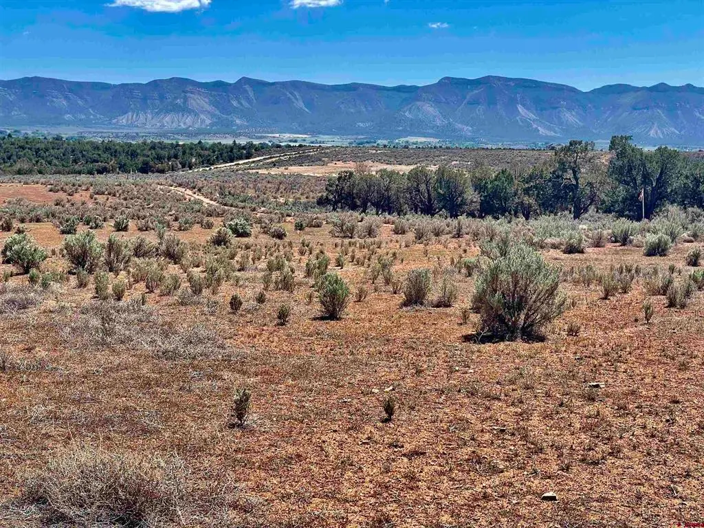 Tract 3 Road K.3, Cortez, CO 81321 - #1