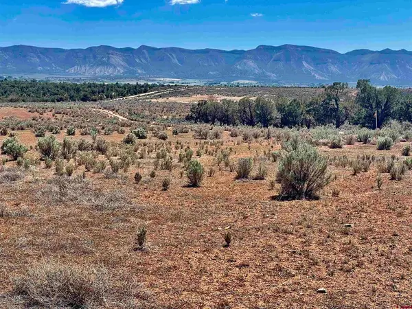 Tract 4 Road K.3, Cortez, CO 81321