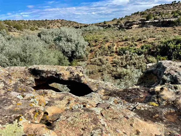 Tract 9 N Broadway, Cortez, CO 81321