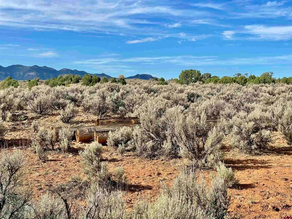 TRACT 12 N Broadway, Cortez, CO 81321 - #1