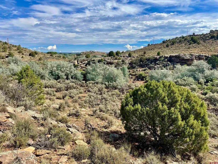TRACT 12 N Broadway, Cortez, CO 81321 - #3