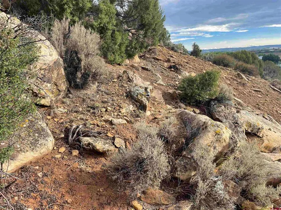 TRACT 13 Road K.3, Cortez, CO 81321 - #3