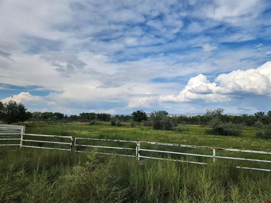 755 Spring Creek Rd & 14750 Marine Rd, Montrose, CO 81403 - #3
