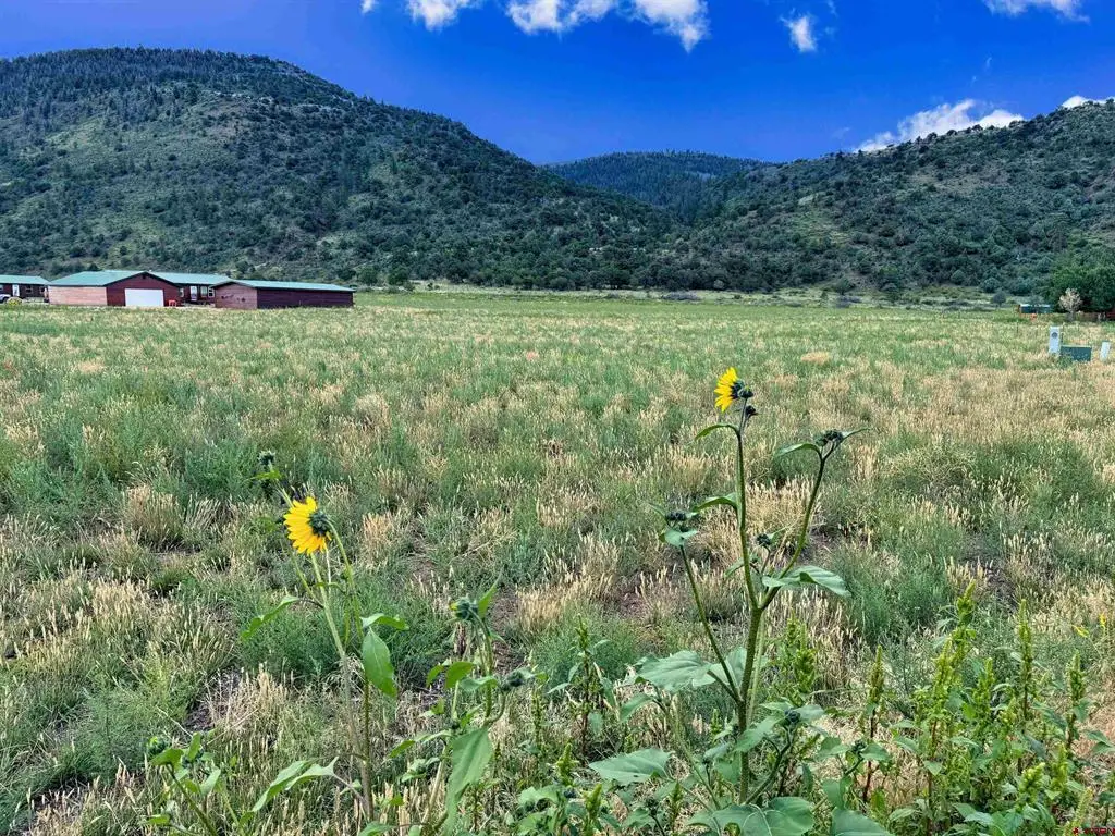 tbd Hidden View Drive, South Fork, CO 81154 - #1