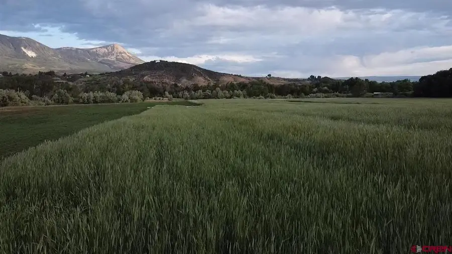 Lot 1 - TBD Hwy 133, Paonia, CO 81428 - #3