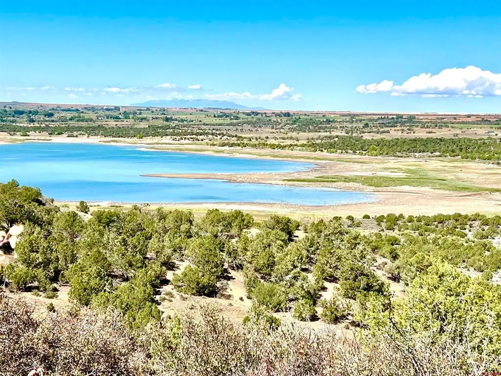 TBD Road V.4, Dolores, CO 81323 - #1