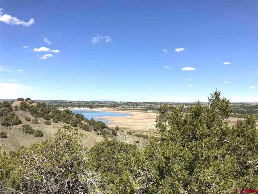 TBD Road V.4, Dolores, CO 81323 - #3