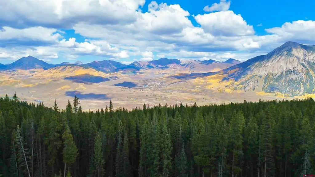 597 Saddle Ridge Road, Crested Butte, CO 81224 - #1